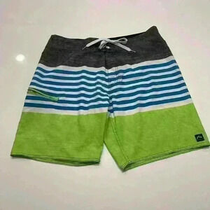 Men’s Rusty Board Swim Shorts